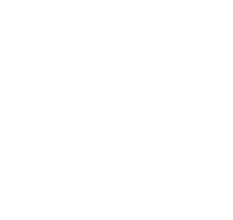 ALEGRÍA